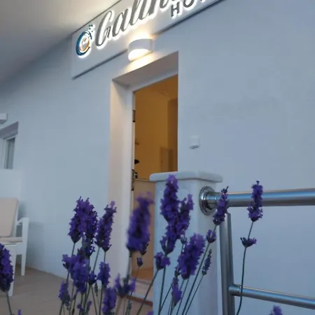 Galini Guest house Naousa (Paros)