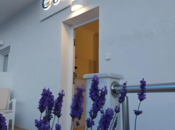 嘉里尼酒店 招待所 纳乌萨